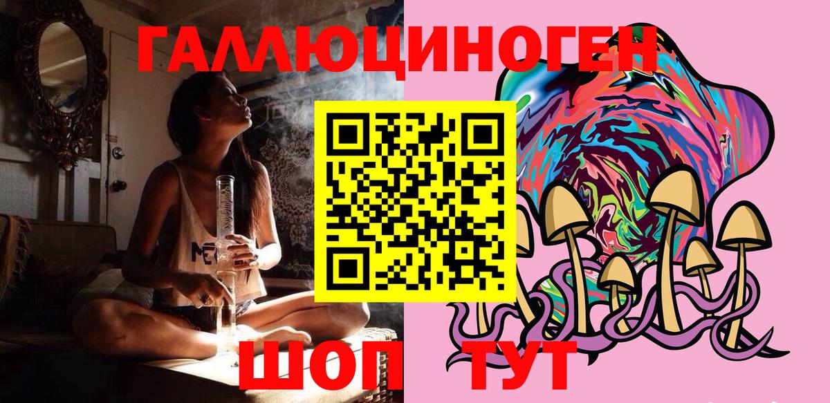 Александров  Галлюциногенные грибы GOLDEN TEACHER  Вход с VPN  Псилоцибиновые грибы Psilocybe 